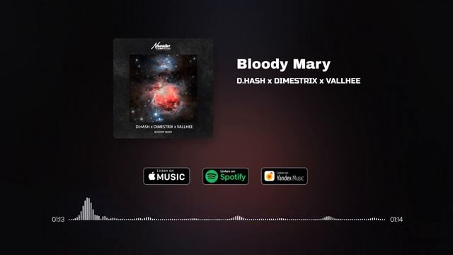 D.HASH x DIMESTRIX x VALLHEE - Blood Mary