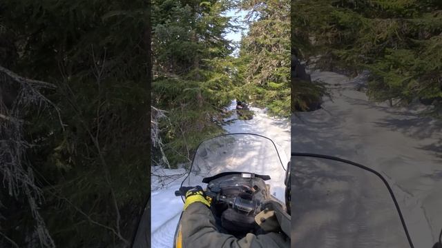Северный Сахалин р.Набиль
Fishing on Sakhalin Рыбалка на Сахалине