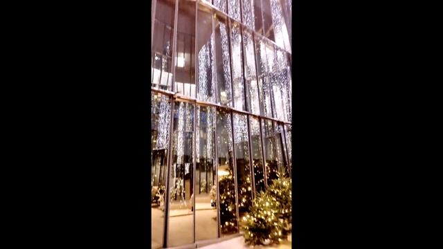 Стеклянный дворик в Санкт-Петербурге перед Новым Годом