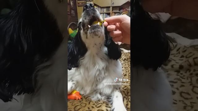 Вкусная конфетка...)))