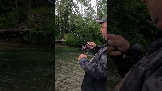 Северный Сахалин Fishing on Sakhalin 
р.Чамгу
