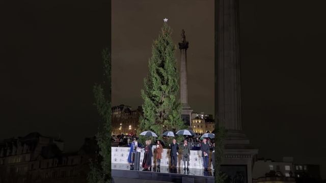 В Лондоне зажгли главную ёлку города