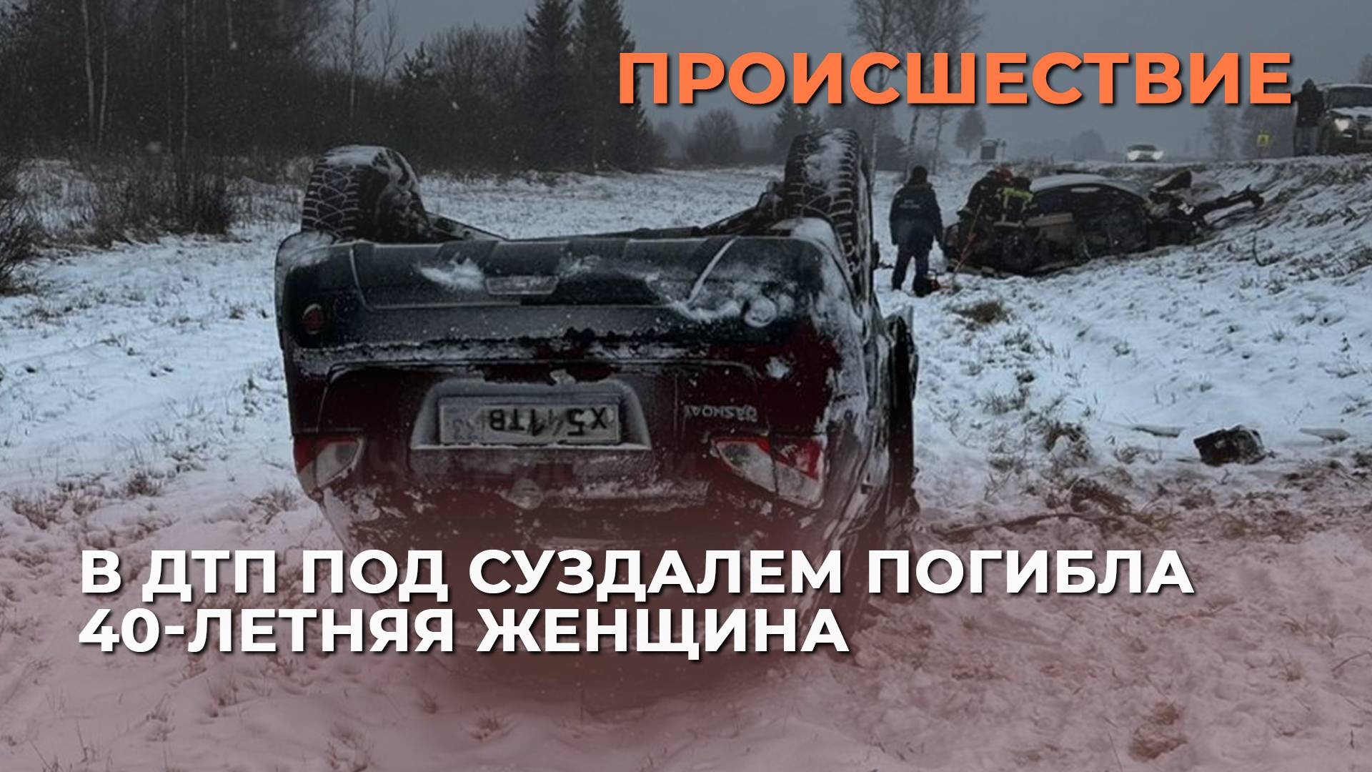 В Суздальском районе в лобовом столкновении погибла женщина
