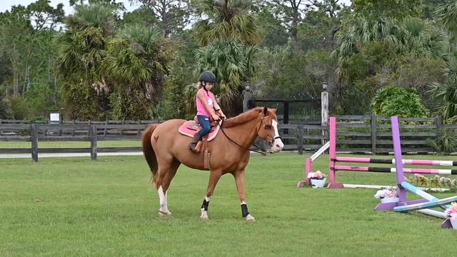Tigger & Jasmin first ride