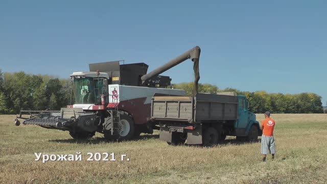 RUSFIELD.SU Уборка урожая рапса и льна масличного. Совхоз им.Цюрупы (Башкортостан).