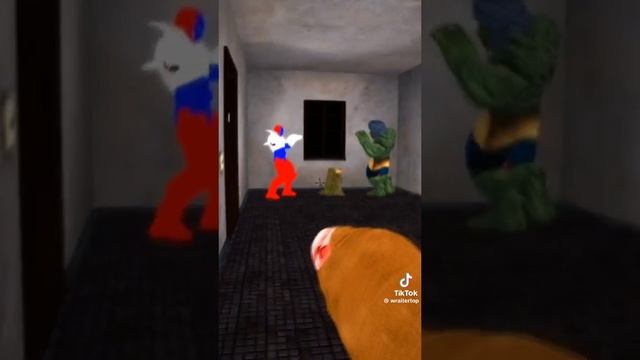 1000003379.mp4