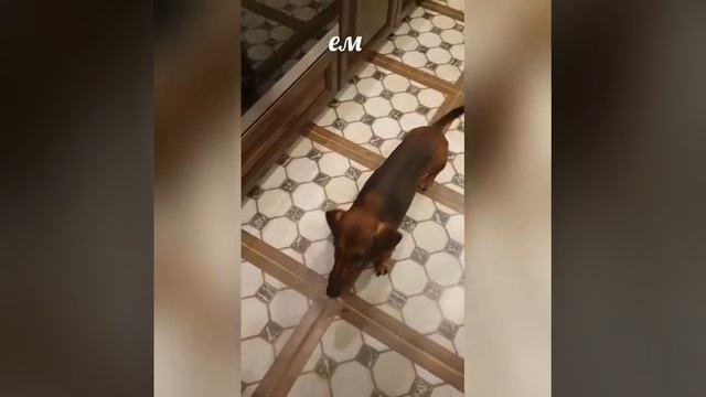 Меня зовут Стёпа!