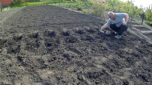 ЖИВЕМ В ДЕРЕВНЕ!!САЖАЕМ КАРТОШКУ ПОД ЛОПАТУ!!!Деревенский влог