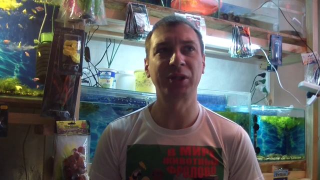 Нюанс в содержании радужного краба!