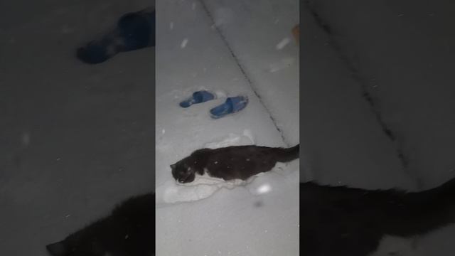 Как хорошо выйти постоять на свежем чистом снегу и заземляться ❄️🌨🌊☃️ 
Мы так долго этого ждали).