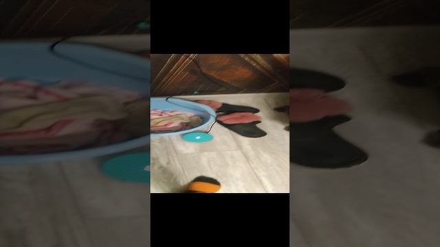 VID_20241210_162952.mp4