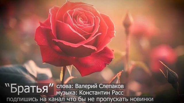 "Братья" песня новинка
