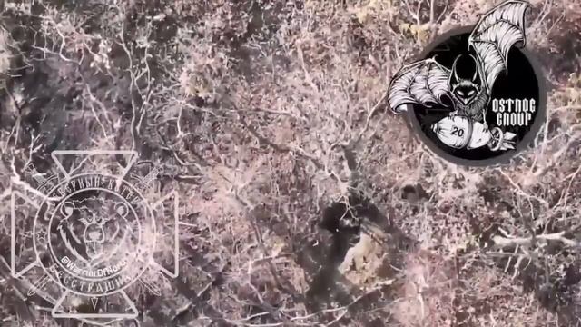 Большая группа наёмников из Колумбии ликвидирована под Липцами в Харьковской области в ходе отраж...