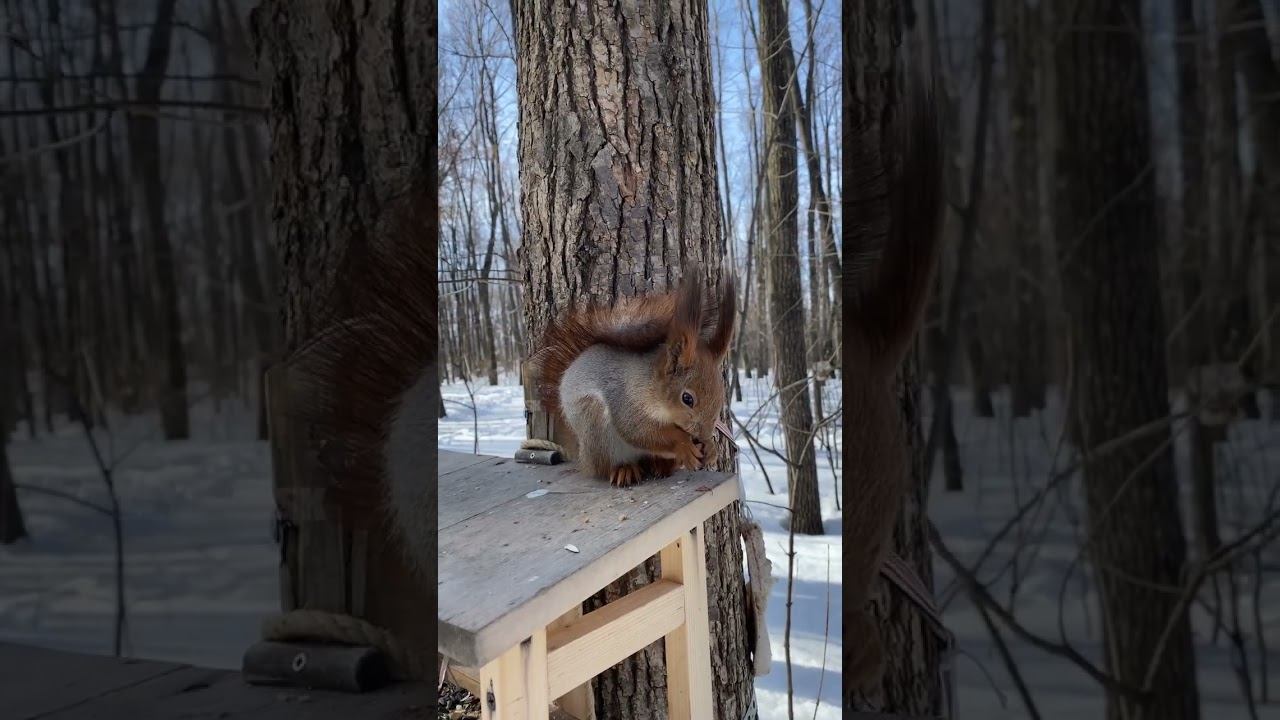 ️ Жительница парка Прибрежный #ульяновская_область