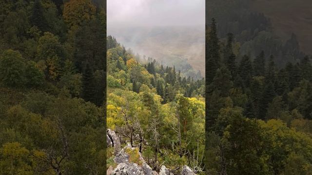video-output-C4AE1031-C119-4BEF-B05D-054F3EEEAEFB