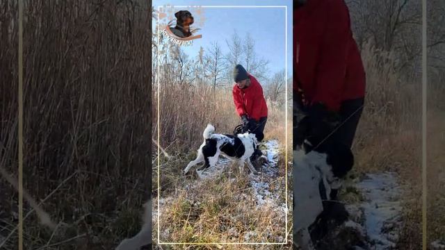 Наш Друг на прогулке