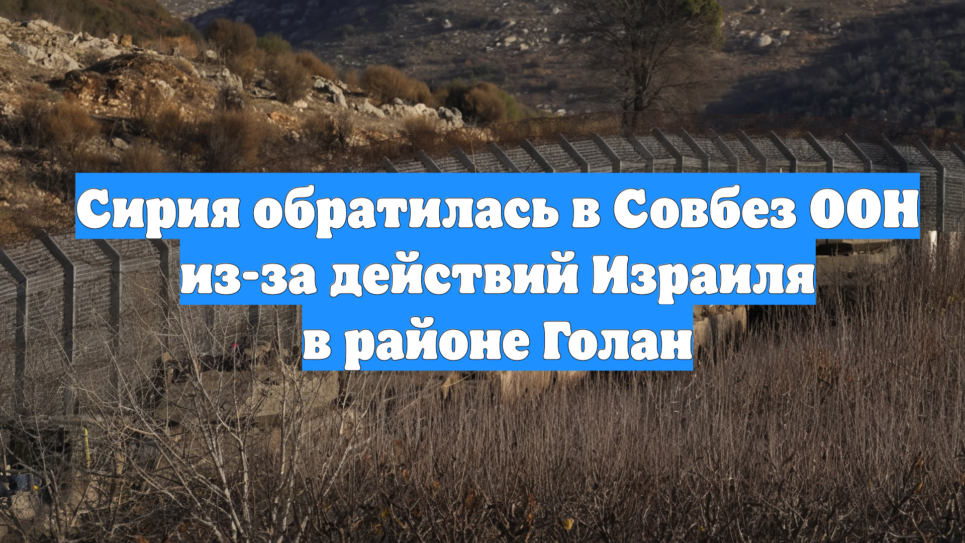 Сирия обратилась в Совбез ООН из-за действий Израиля в районе Голан