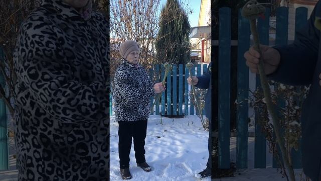 Секрет удачи в 2025