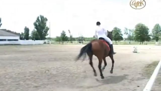 Конноспортивный праздник