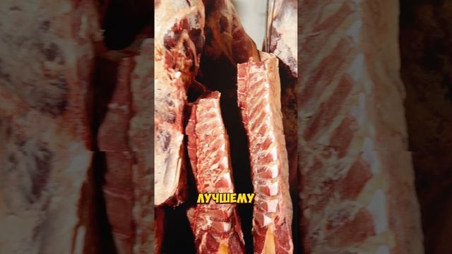 Научная серия о Халяль: экспертный разбор Часть 1: 
Основы Халяль с научной точки зрения 🔬