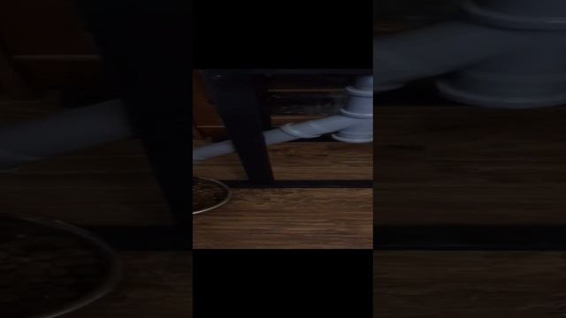 1000047584.mp4