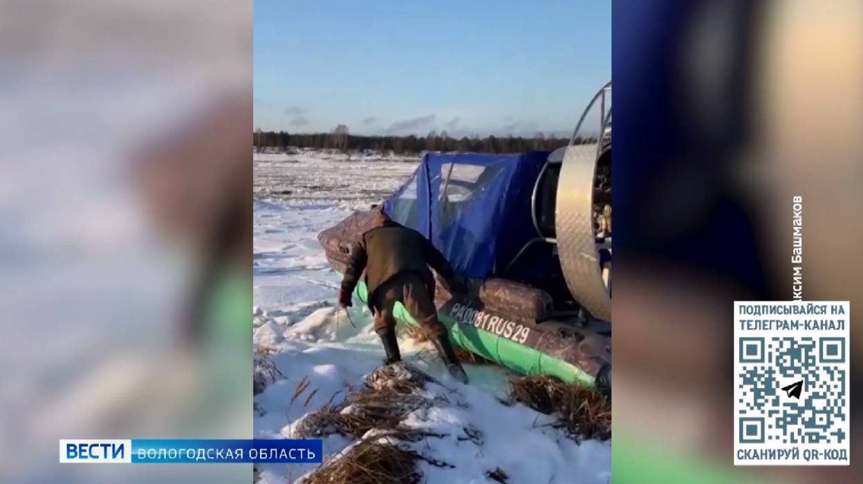 Собаку спасли с оторвавшейся льдины на Сухоне
