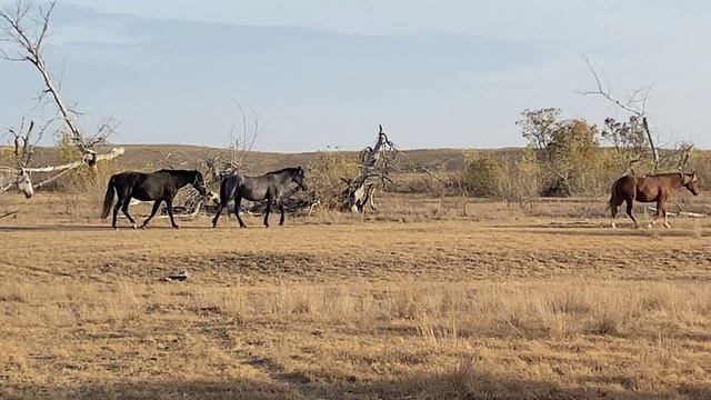 Рыбалка