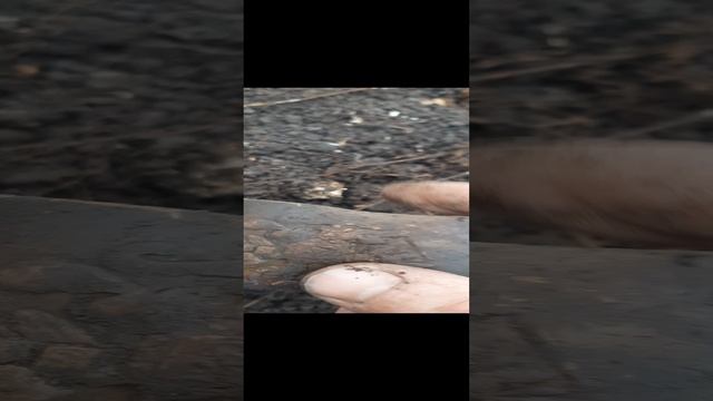Вот она красавица.