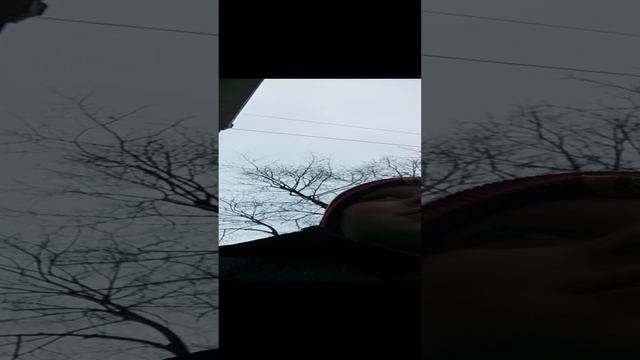 1000005203.mp4