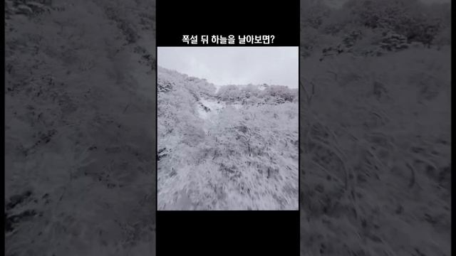 Корпорация Юмора - Видео от Корпорация Юмора
