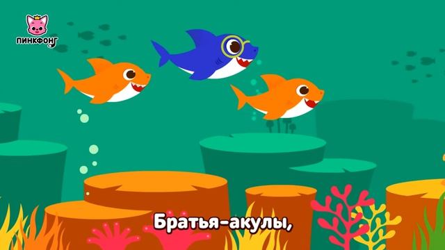 Акулёнок и его большая семья _ Акулёнок _ Песни про Животных _ Пинкфонг Песни для Детей