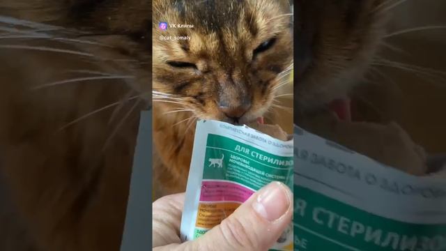 ВКУСНЯТИНА!!!!!