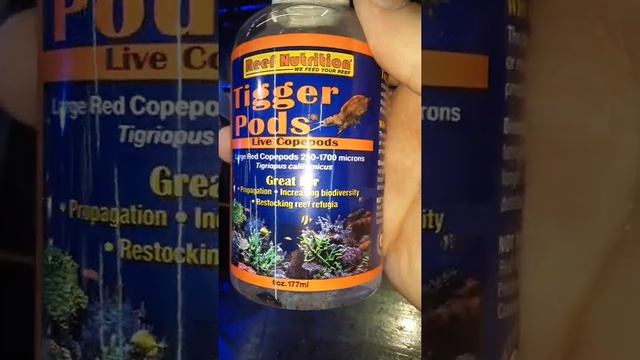 Bottled Live Copepods