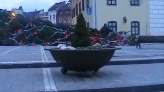🎄 В Румынии рухнула самая большая рождественская елка страны прямо во время ее украшения.
