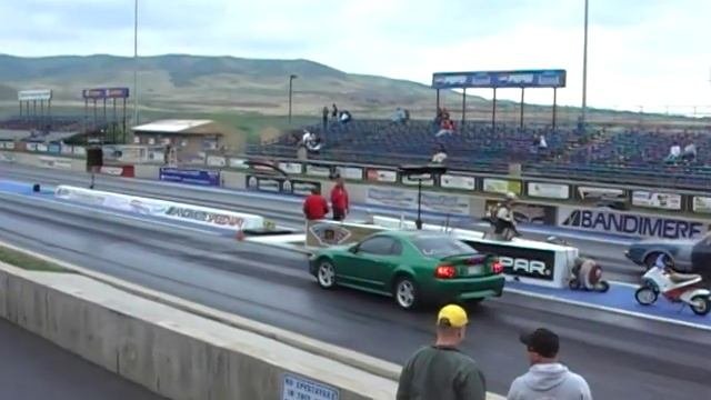 99 Cobra V.S. Cougar