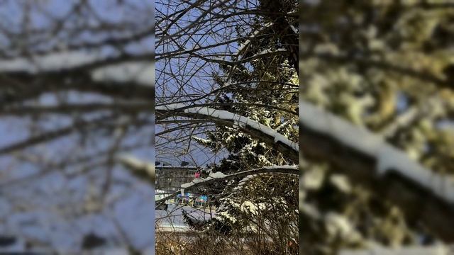 Благодаря снегу можно уединиться даже в городской толпе… однажды в декабре 2023, требуется повторить