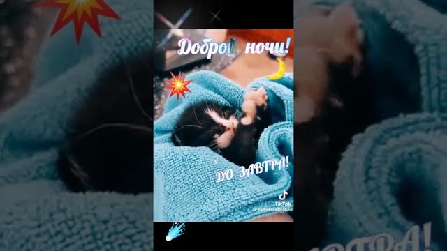 Прошла Geometrical Dominator на практике