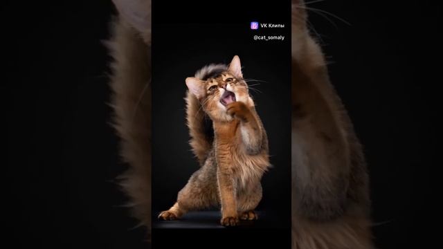 Ух, глазищи!