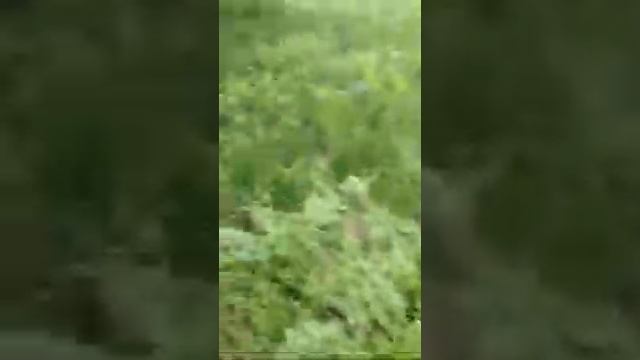 Рыбалка 23.05.2015. МАКИ.