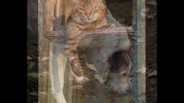 "СЕНТИМЕНТАЛЬНЫЙ РОМАНС"... (Фото гр. "ТЁПЛЫЕ ВОСПОМИНАНИЯ"), музыка - Станислав ЛЕМЕШКИН)