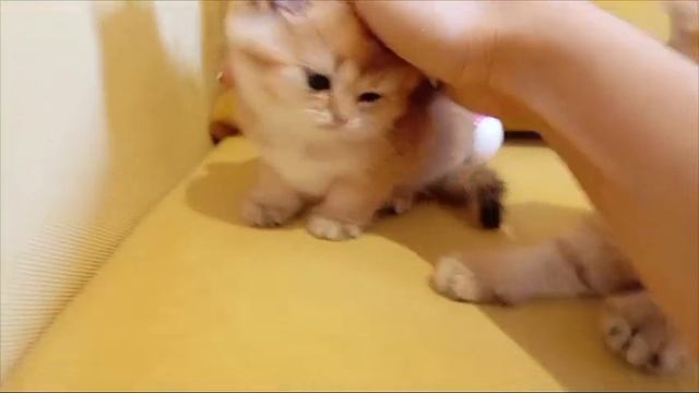 1000019108.mp4