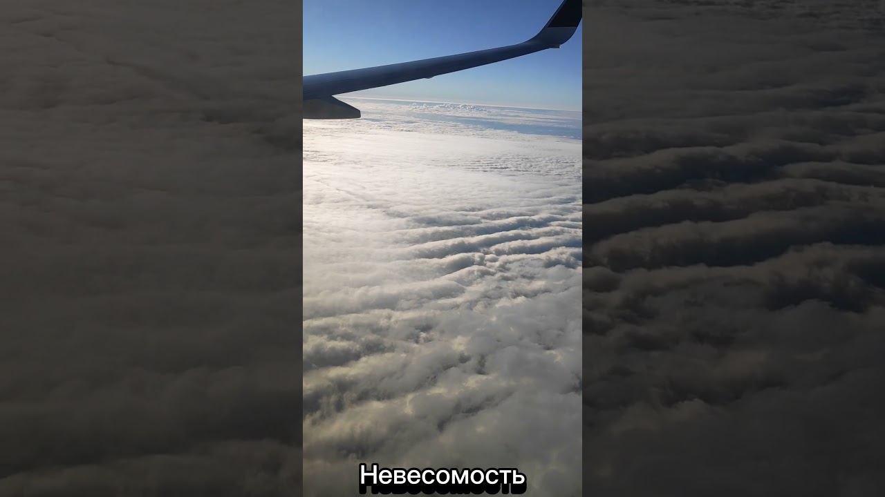 Невесомость