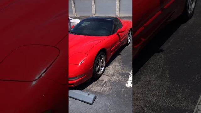 Red Corvette #corvette #chevrolet #red #sportscar #florida