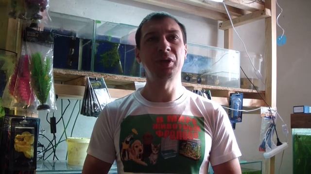 Аллергия на животных. От чего, почему, что делать!