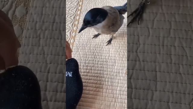 1000012805.mp4