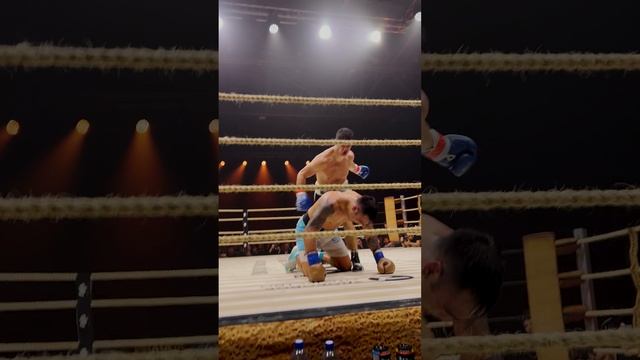 Реакция МУРАТА ГАССИЕВА на нокдаун Давида Дзукаева