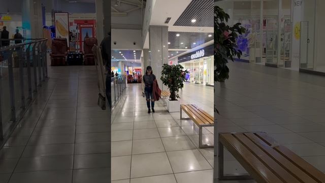 Новый регномер присвоит Социальный фонд всем ИП и юр лицам