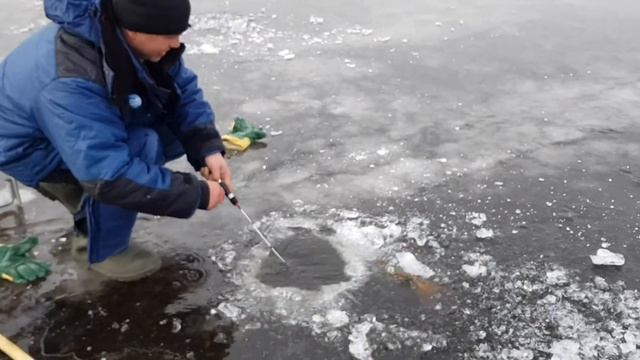 Амур, зимняя рыбалка на тайменя.