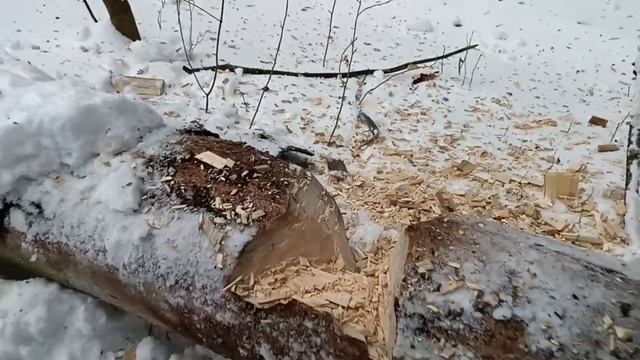 ПОРУБАС # 30 08.12.24 МИТИНО (ИННА, АЛЕКСАНДР, РОМАН, ФЕДОР, Я)
