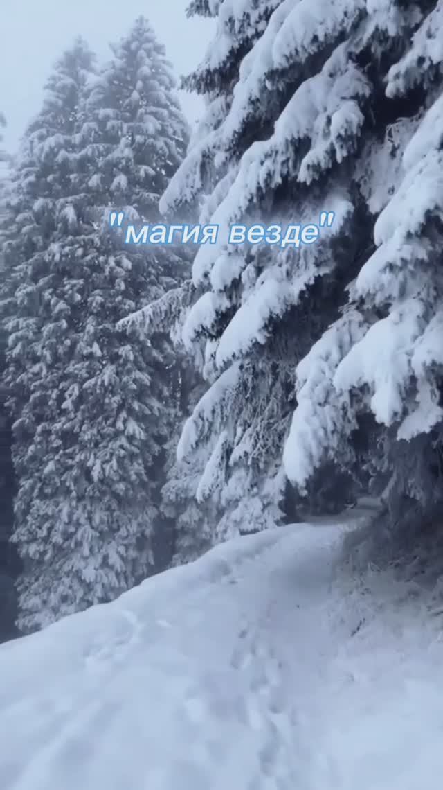 Волшебство везде✨